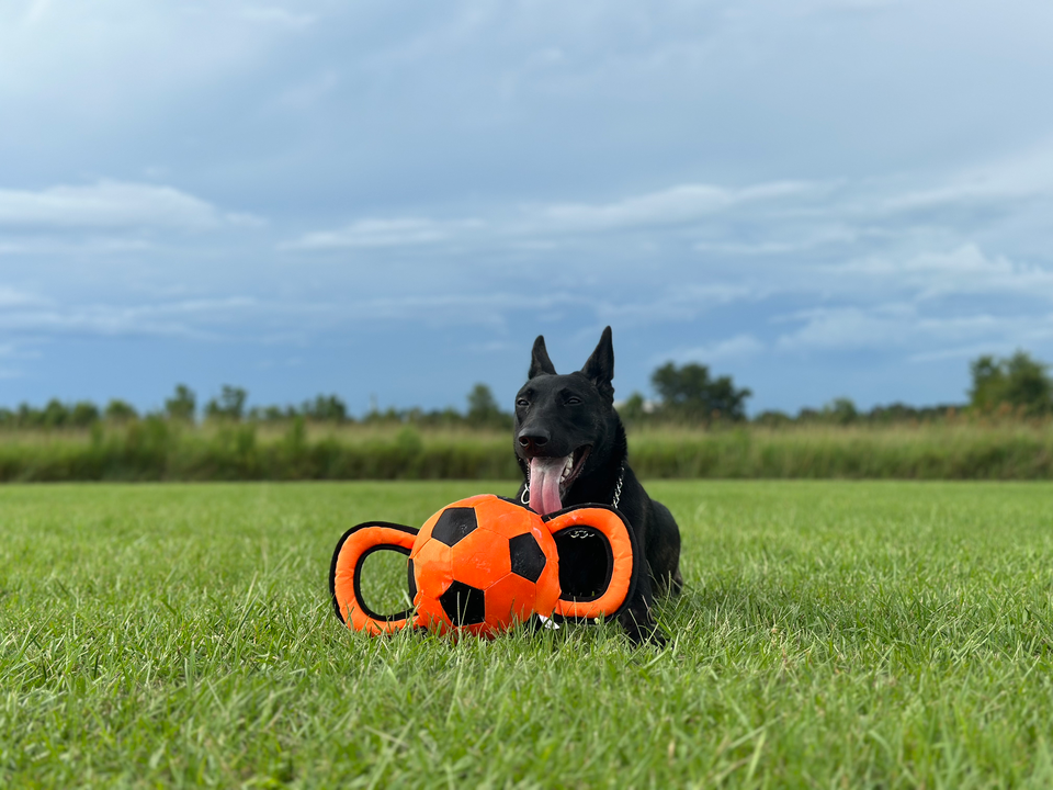 575630640 1234248031638205 4269507841854351722 n