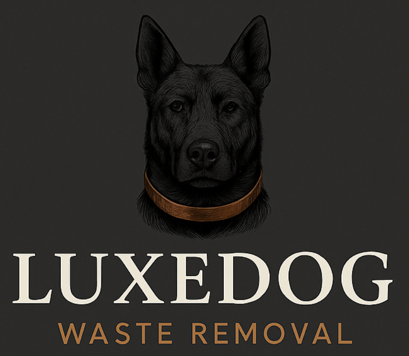 582039706 1561375988310200 2900797845755845176 n